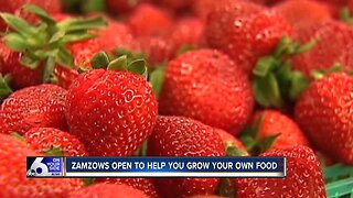 Zamzows open to help you grow your own food