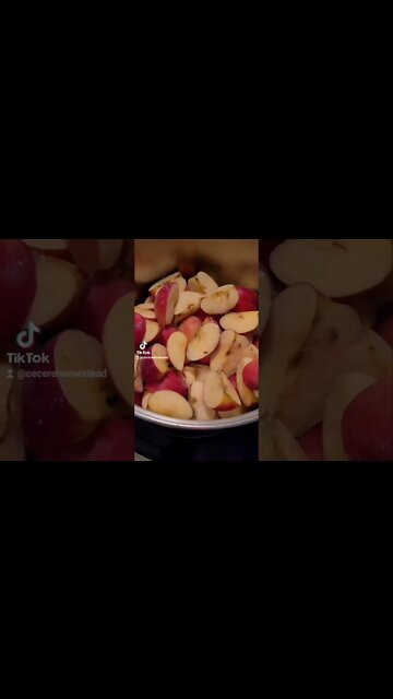 Frozen Apples to Warm Apple Sauce