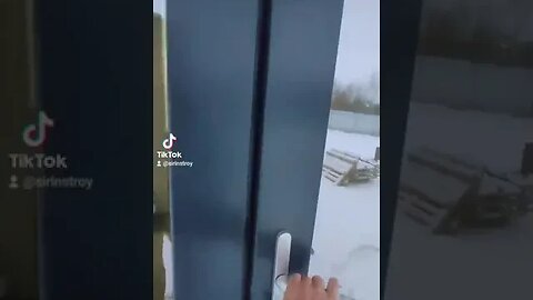 двери со штульпом