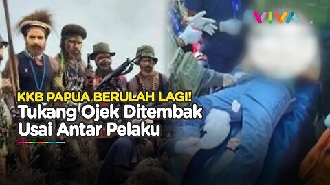 BIADAB! KKB Papua Eksekusi Mati Tukang Ojek Usai Antar Pelaku