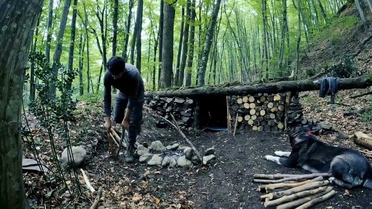 Camping, building wood and rock forest houses and fireplaces, quail cooking - survival, DIY $$ 9