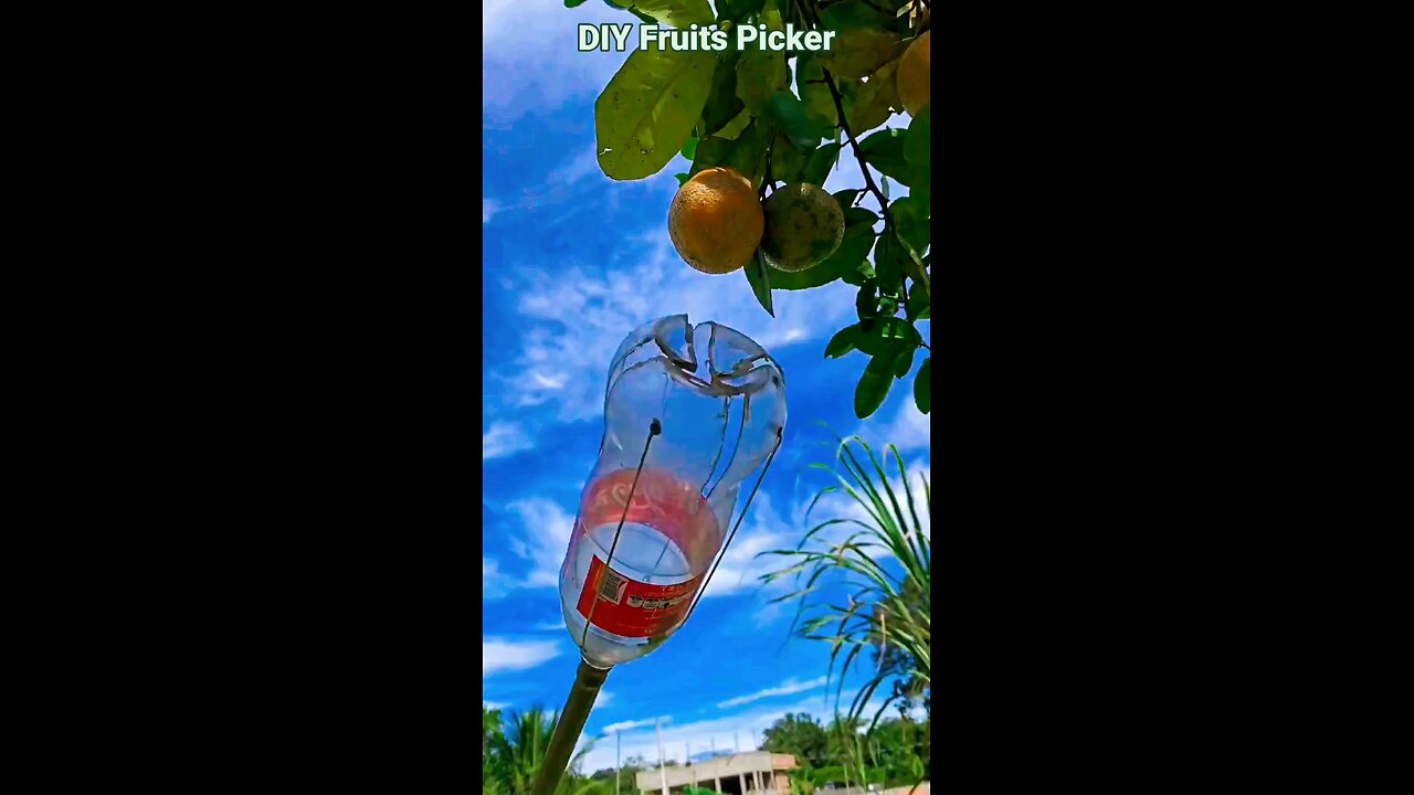 DIY Fruit Picker