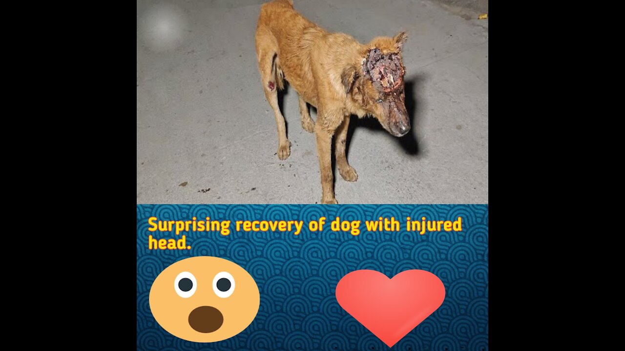 Amazing Rescue and Recovery.