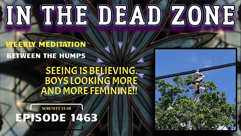 In The Dead Zone: Full Metal Ox Day 1398