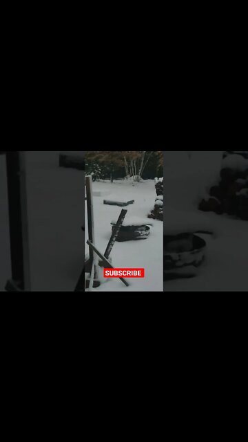 Winter found us, oh how i hate you. #shorts