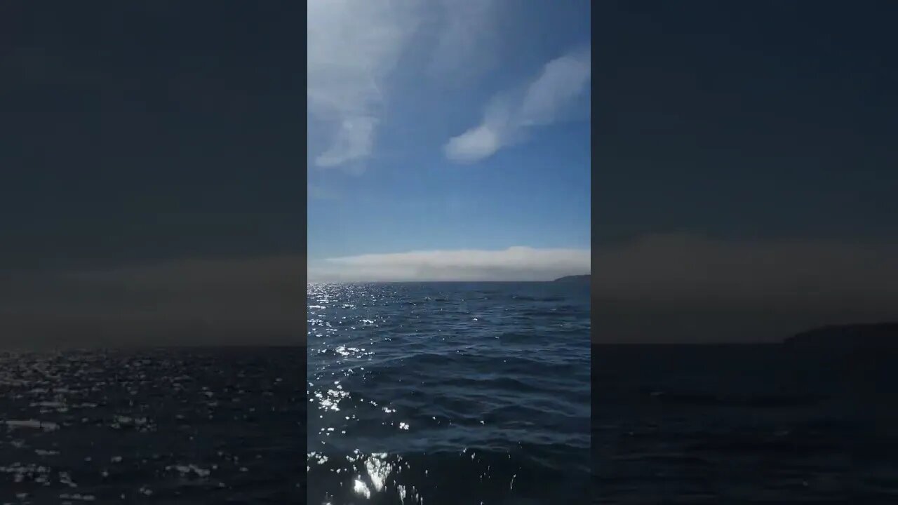 Channel Islands National Park | Approaching Santa Cruz Island