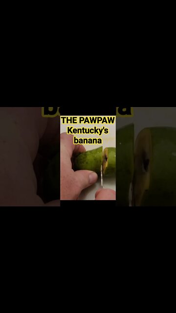 Kentucky's banana 🍌#short