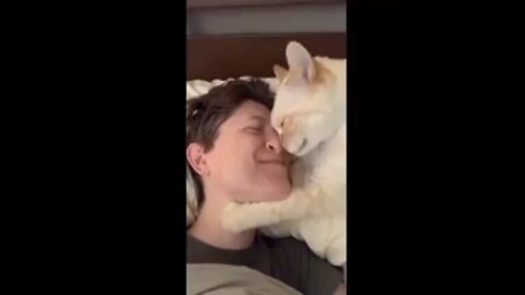 some cute and funny moments of cats and dogs # cats#dogs#cute#momanet cute moments