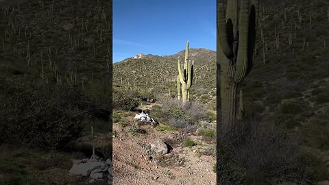 Stopped for lunch out on the trails