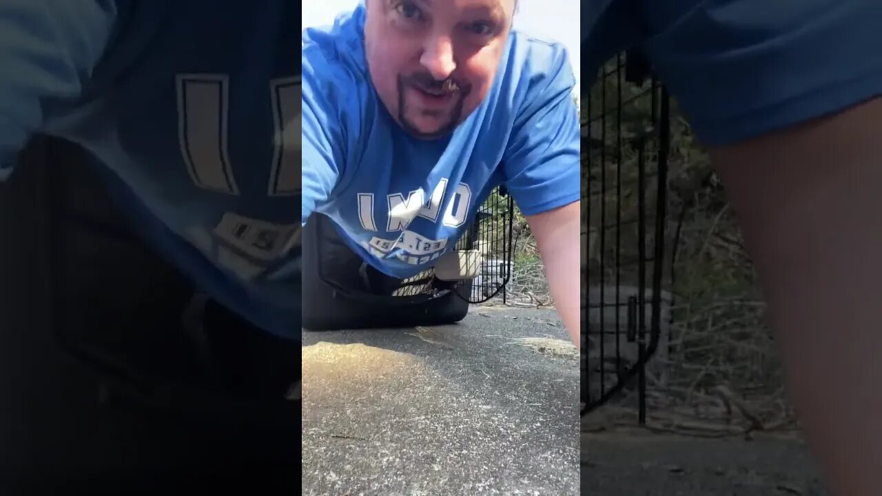 I Fit Inside My Dogs Kennel 🤣