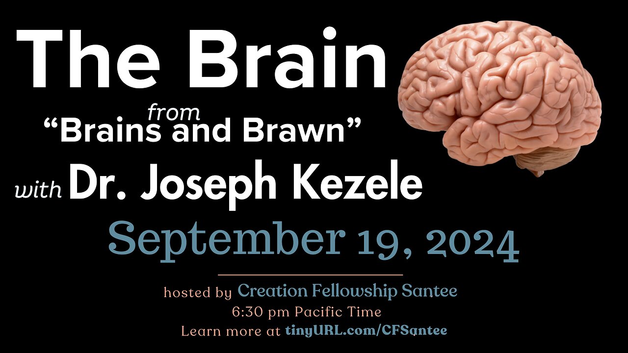 The 'Brain' of 'Brains and Brawn' with Dr. Kezele MD