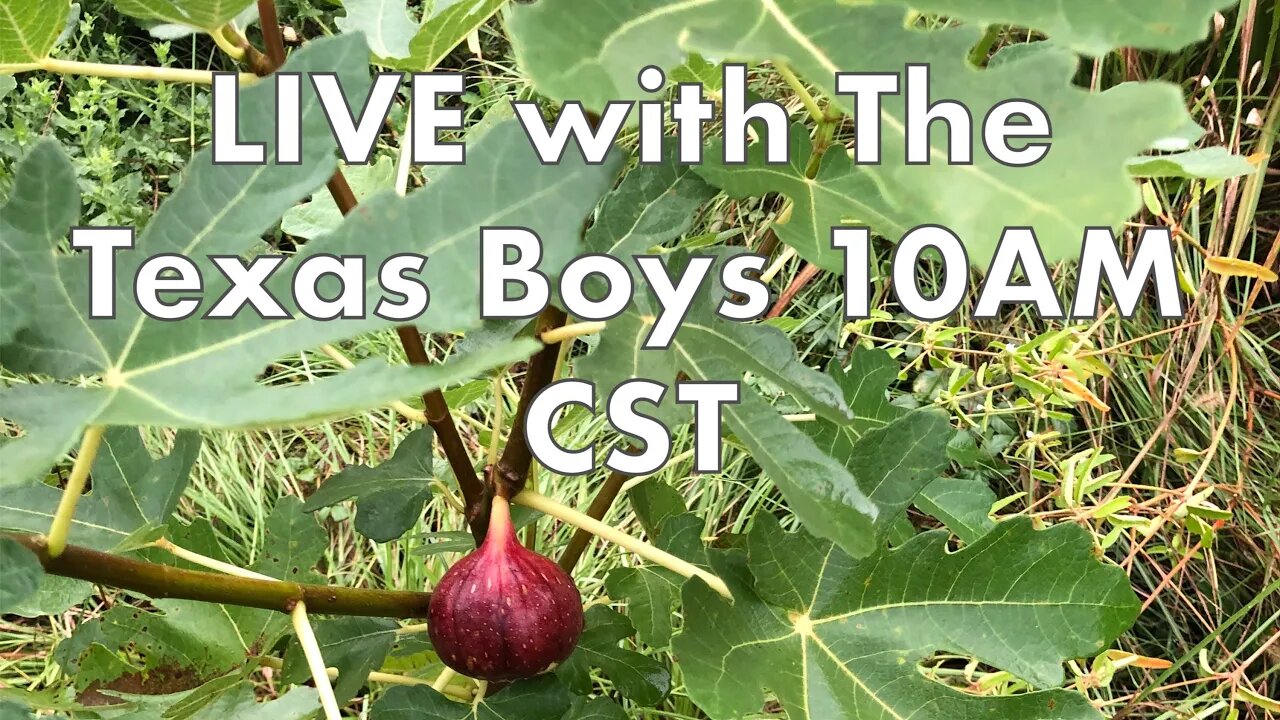 TTB LIVE 10AM CST