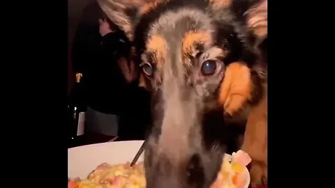 That Grab Was Personal tiktok blockglocc