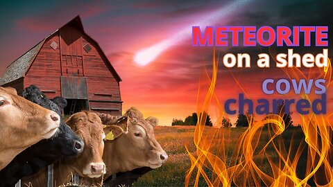 Meteorite Sets Shed on Fire: Charred Cows