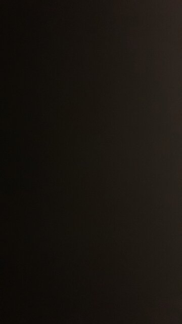 Government efficiency