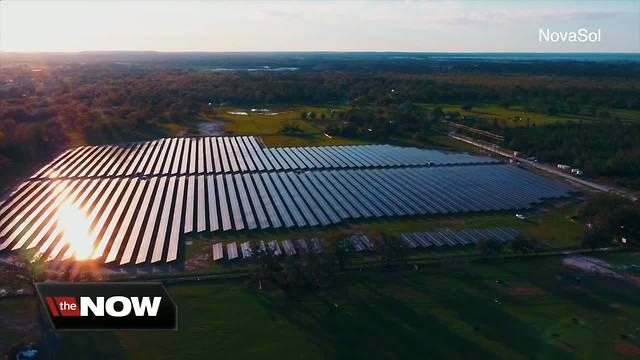 New solar farm debuts in Bartow; will power 5 to 6 percent of city