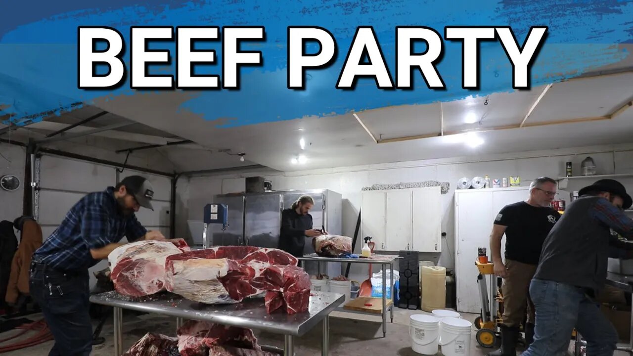 Processing Beef With Friends & Family