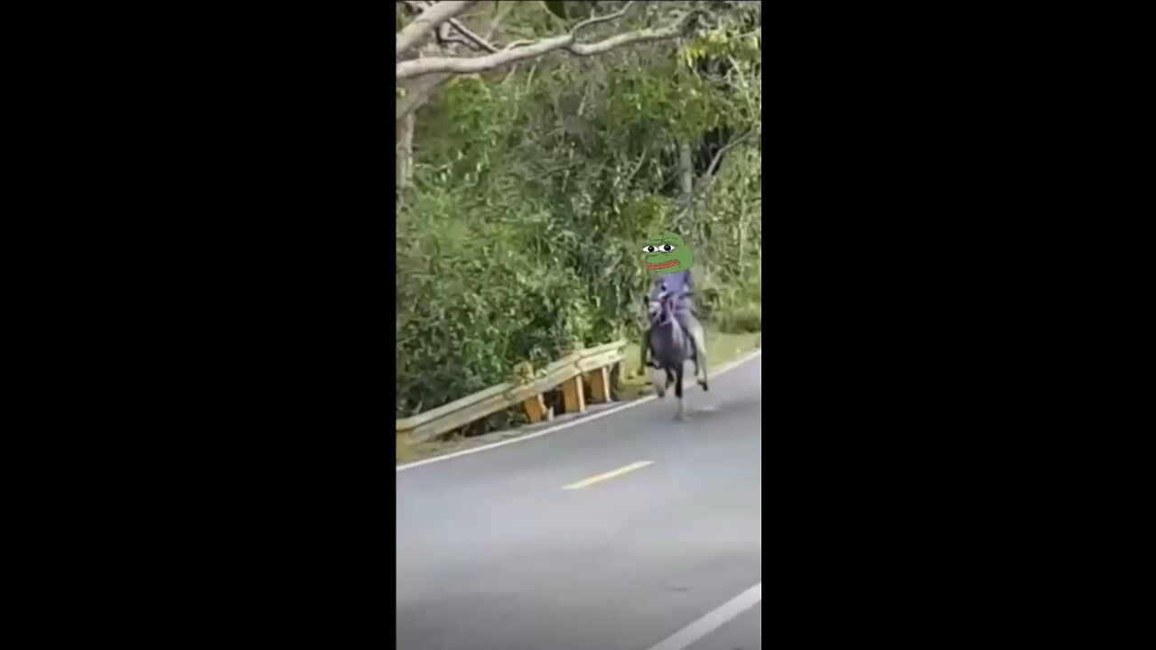 Ride!