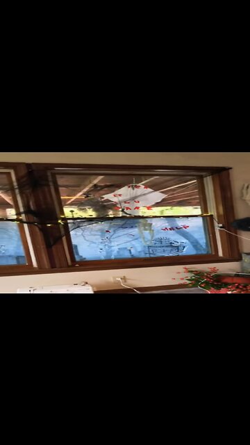 Scary Window (one stop Dollar Store