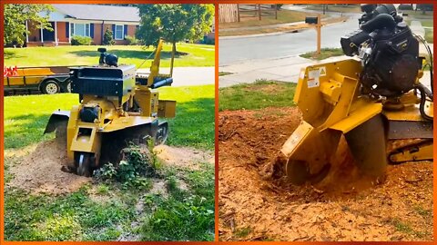 Best Stump Grinding Machines Ever