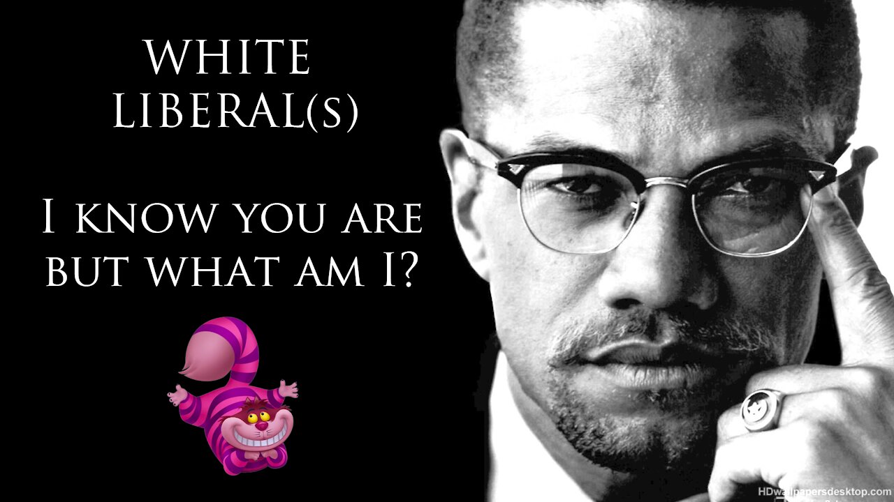 White Liberal(s) | I know you are but what am I?