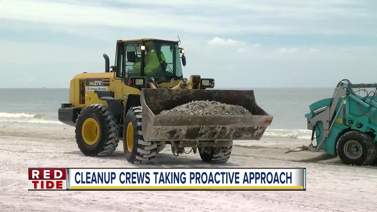 33 tons of dead fish collected in Pinellas Co.