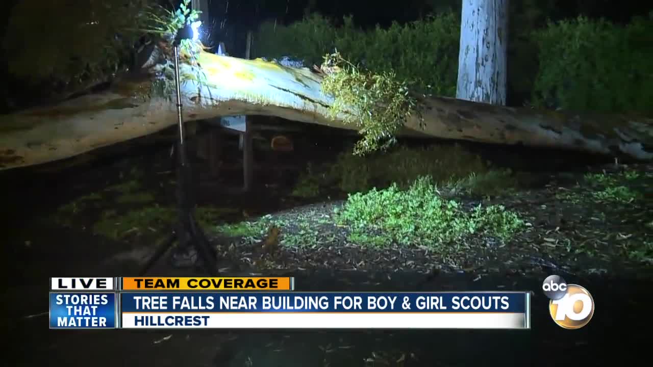 Tree falls near Scouts building in Hillcrest