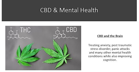 CBD & Blood Flow - PTSD, Stress & Depression