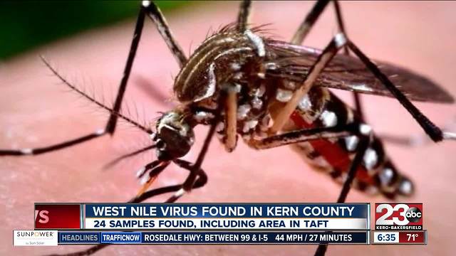 West Nile Virus found in Kern County