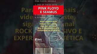 PINK FLOYD E SEAMUS