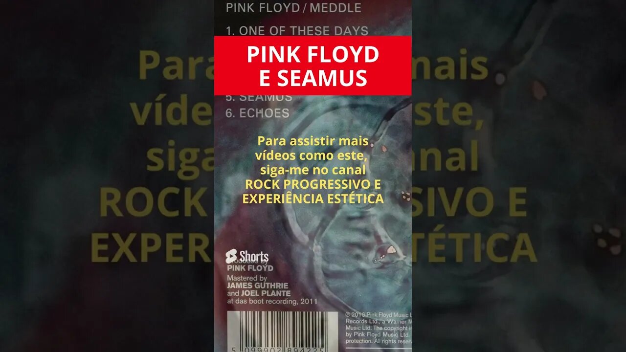 PINK FLOYD E SEAMUS