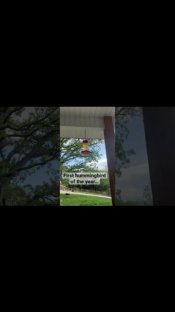 First hummingbird of the year… #farmlife #homestead #hummingbird
