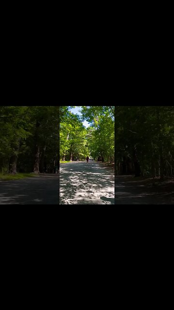 Point Pleasant Park Halifax Nova Scotia