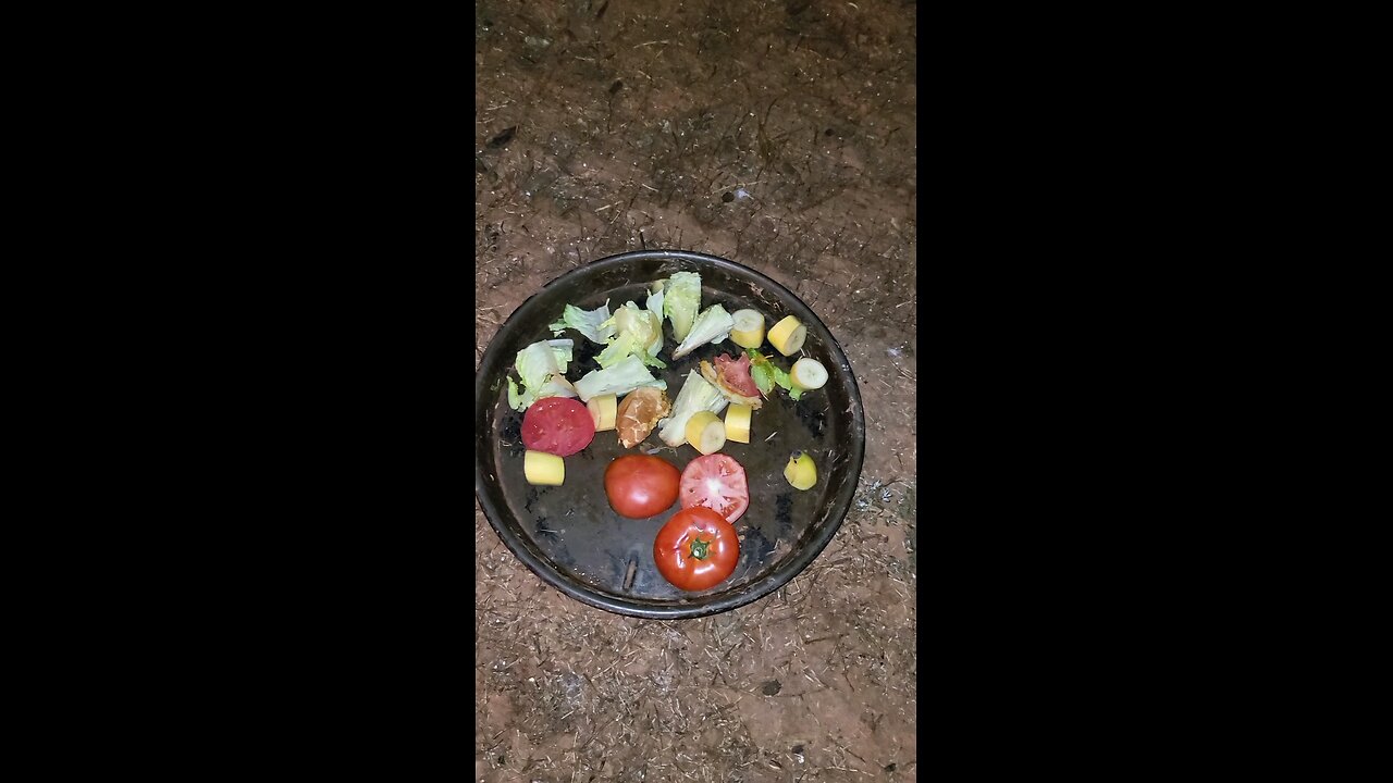 today's menu