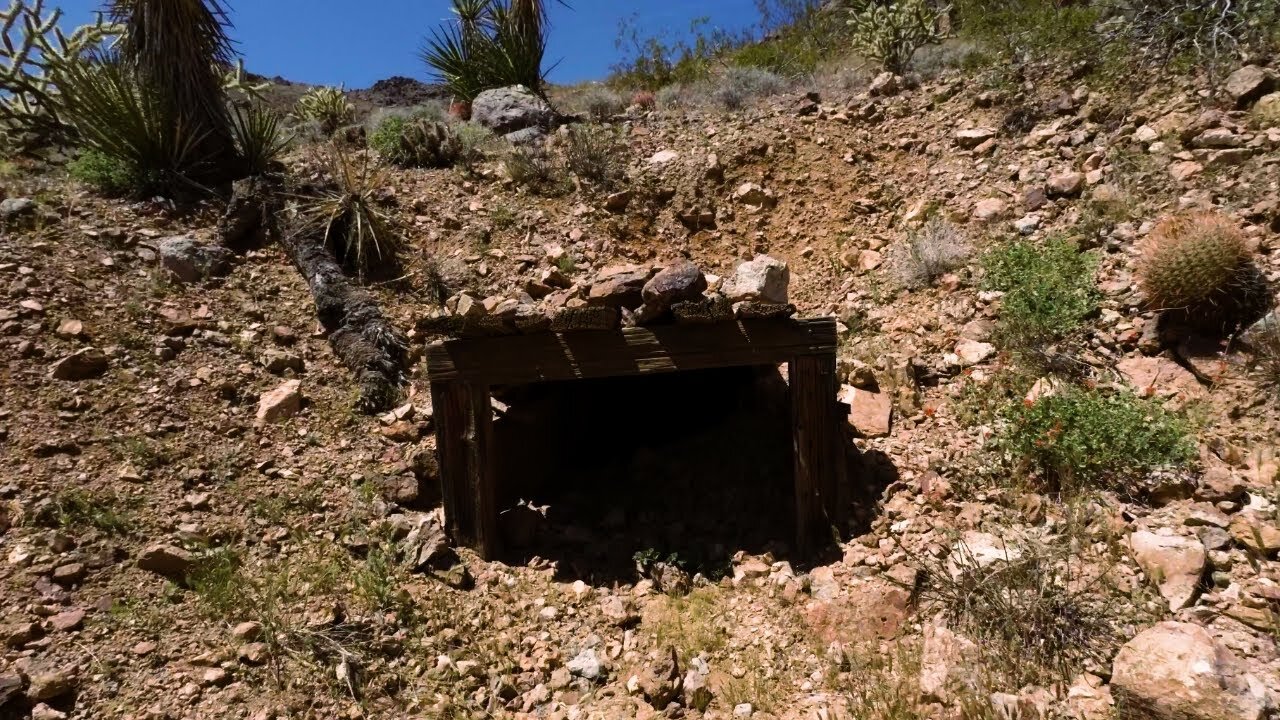 Abandoned Gold Mine is Now Home for a Large Colony of Bats