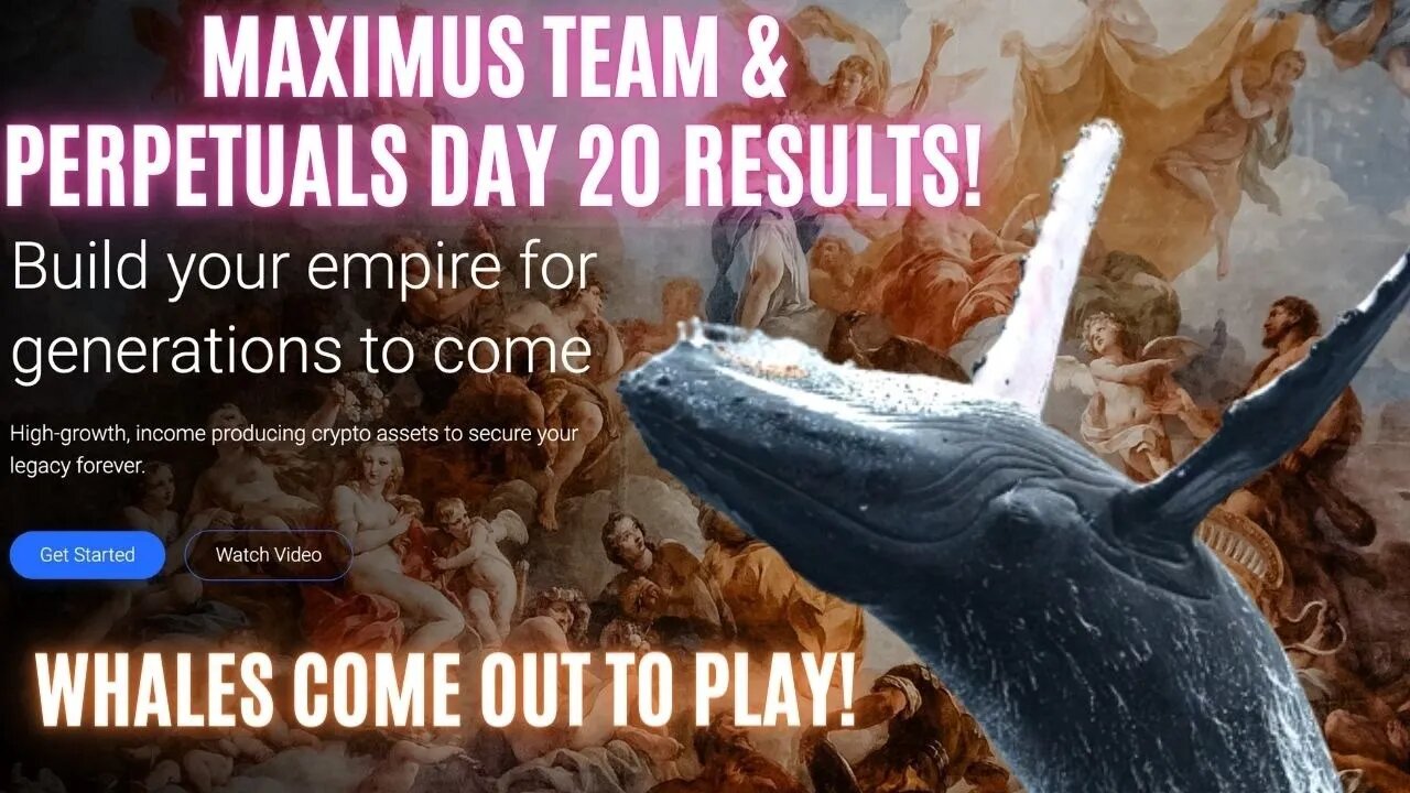 Maximus TEAM & PERPETUALS Day 20 Results! Whales Come Out To Play!