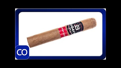 Bugatti Ambassador Robusto Cigar Review