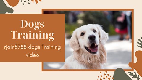 Training A Dog To Gait On A Loose Lead By Eric Salas ! Dogs Training !