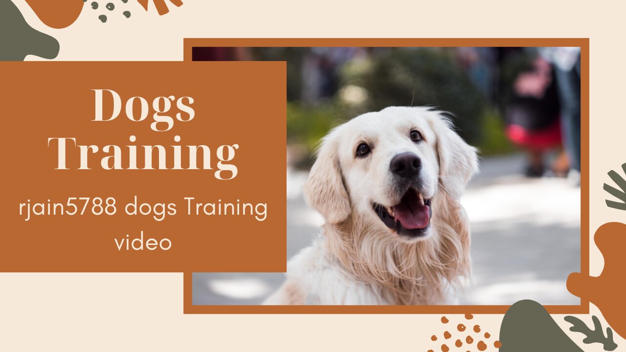 Training A Dog To Gait On A Loose Lead By Eric Salas ! Dogs Training !