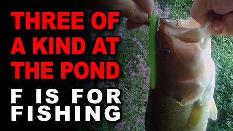 Three of a Kind at the Pond