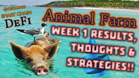 DRIP ECOSYSTEM UPDATES: The Animal Farm DeFi Money Machine + DRIP Faucet Status Report!!