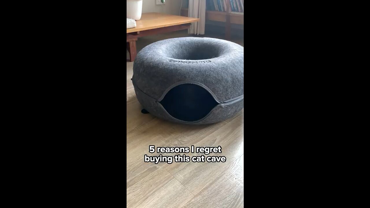 Funny Animal