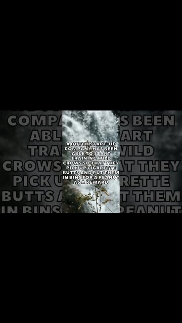 Incredible Random Facts That Will Expand Your Mind! [2023] #shorts #facts #viralshorts #fyp #life