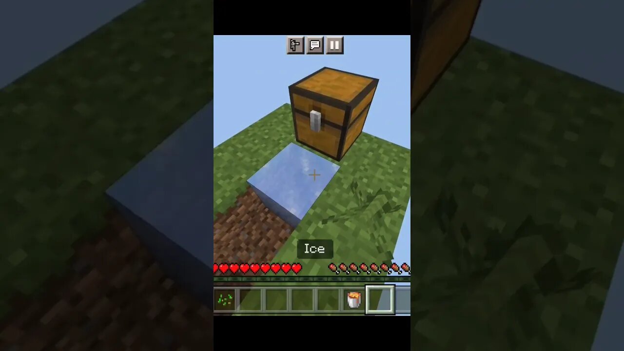 iq moment in skygblock minecraft shorts short