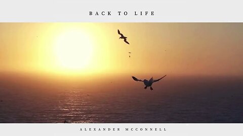 Back to Life - Alexander McConnell