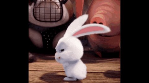 Rabbit dance - Butterfly