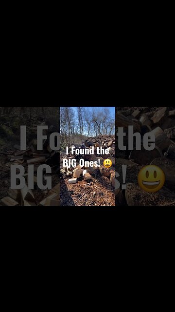 I Found the BIG Ones! 🤠 #shorts #tips #75hard