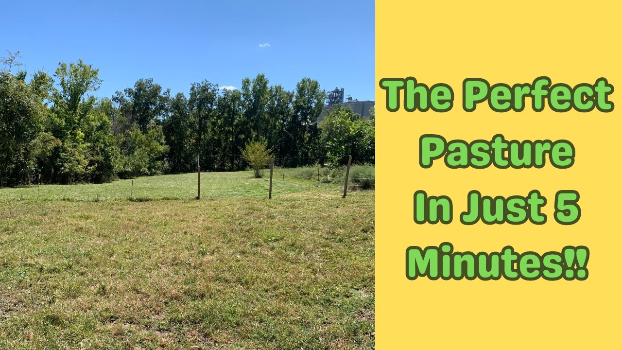 Basic Pasture Maintenance