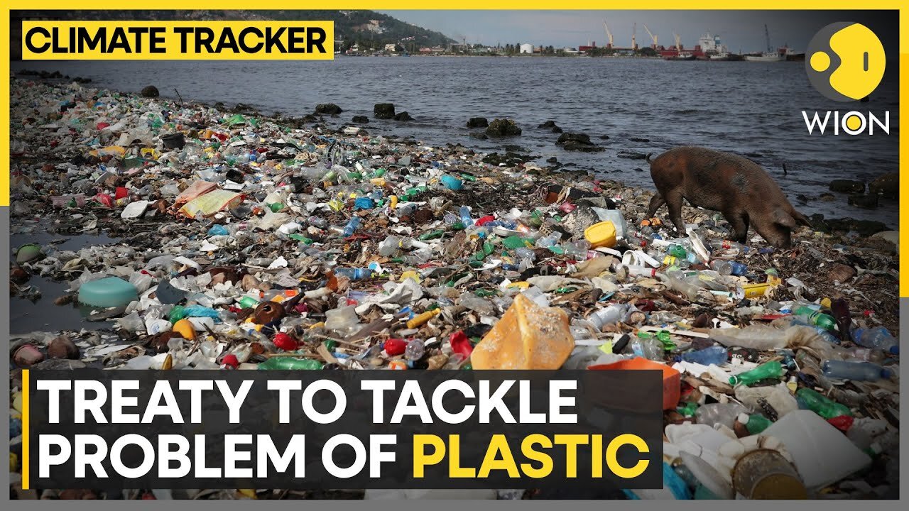 World Plastic Pollution Treaty: Are climate change discussions inclusive? | WION Climate Tracker