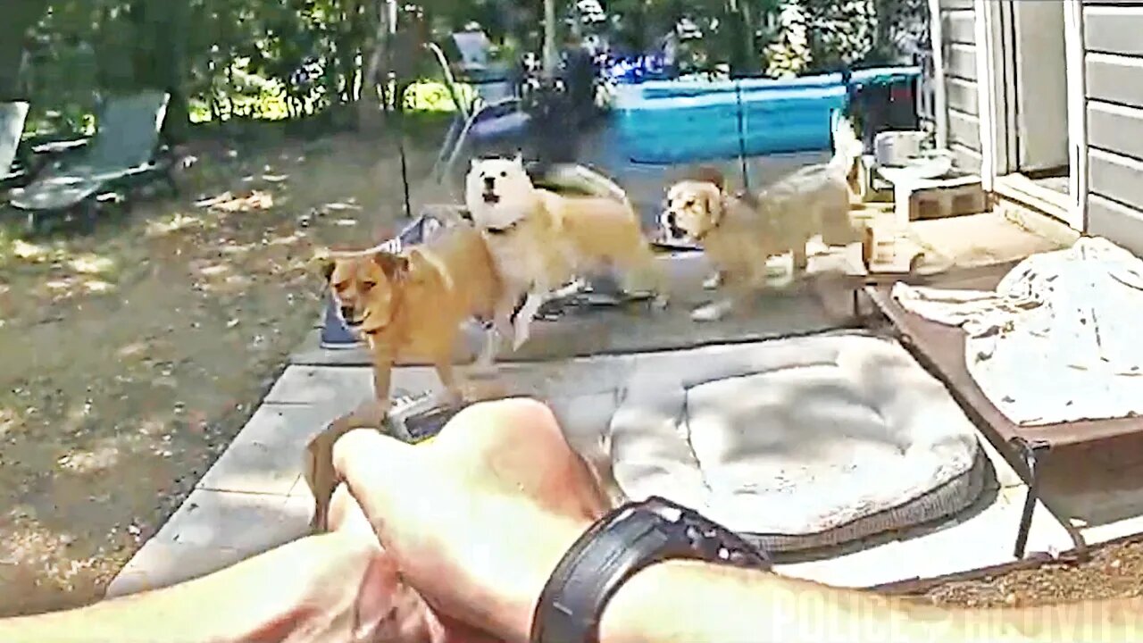 Bodycam Shows Waco Officer Shooting Charging Dog After Going To Wrong House